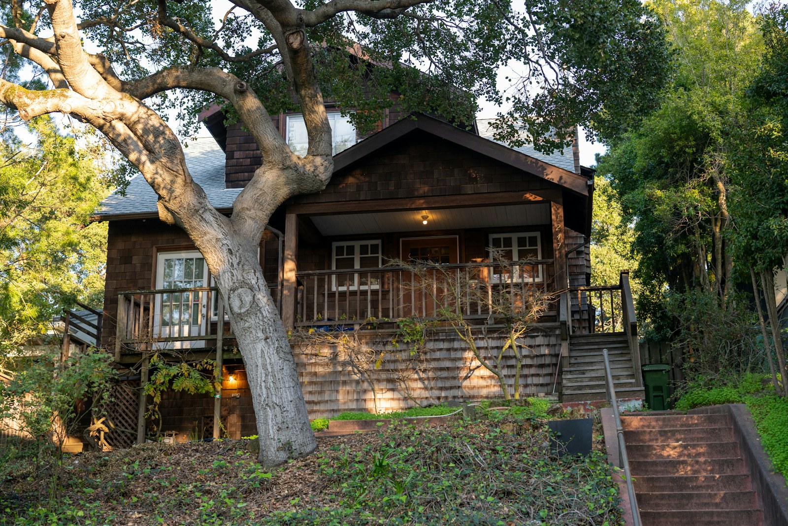 Berkeley hillside home with mature planting and a front porch